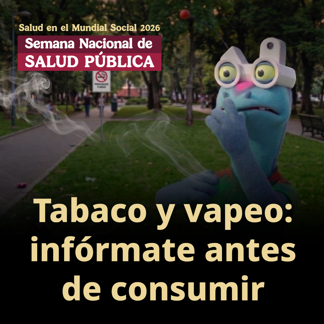 Infografía 8