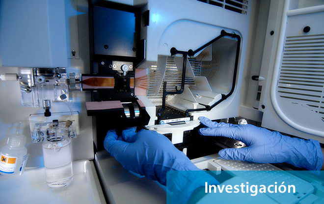 Mano de investigador trabajando