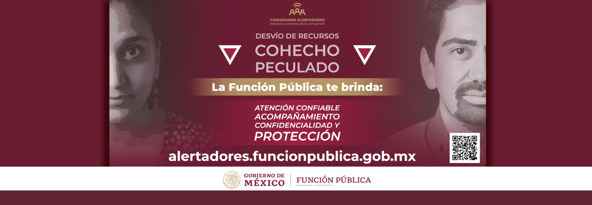 Visita la plataforma