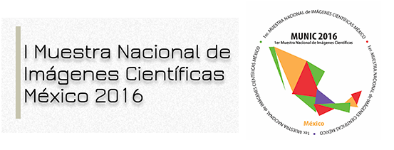 El INMEGEN presente en la Bienal Internacional de Cine Científico (BICC 2016) Ronda-Madrid-México